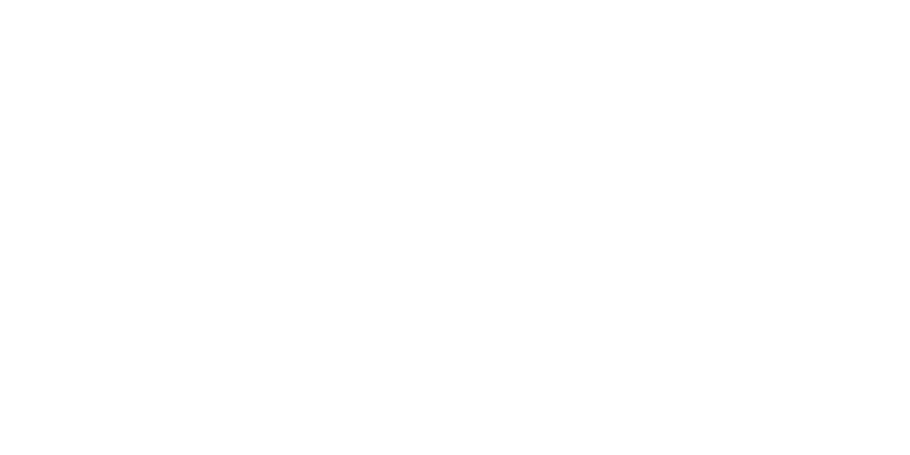 100 Experience